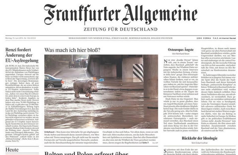 Tbilisi Zoo’s hippo - The main star of the foreign press geotv.ge